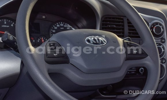 اشتري Imported Kia Carens White سيارة في Import - Dubai في أغاديز اشتري Imported Kia Carens White سيارة في Import - Dubai في أغاديز