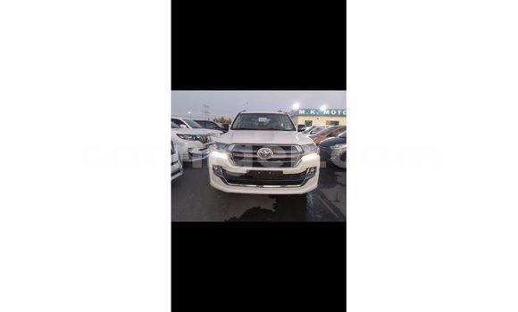 اشتري Imported Toyota Land Cruiser White شاحنة في Import - Dubai في أغاديز اشتري Imported Toyota Land Cruiser White شاحنة في Import - Dubai في أغاديز
