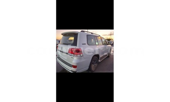 اشتري Imported Toyota Land Cruiser White شاحنة في Import - Dubai في أغاديز اشتري Imported Toyota Land Cruiser White شاحنة في Import - Dubai في أغاديز