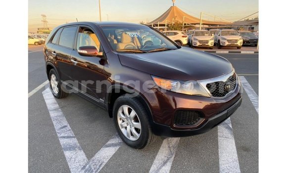 اشتري Imported Kia Sorento Brown سيارة في Import - Dubai في أغاديز اشتري Imported Kia Sorento Brown سيارة في Import - Dubai في أغاديز