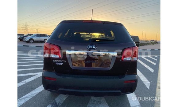 اشتري Imported Kia Sorento Brown سيارة في Import - Dubai في أغاديز اشتري Imported Kia Sorento Brown سيارة في Import - Dubai في أغاديز