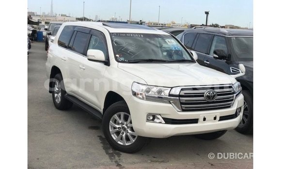 اشتري Imported Toyota Land Cruiser White شاحنة في Import - Dubai في أغاديز اشتري Imported Toyota Land Cruiser White شاحنة في Import - Dubai في أغاديز