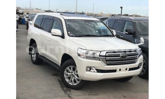 اشتري Imported Toyota Land Cruiser White شاحنة في Import - Dubai في أغاديز اشتري Imported Toyota Land Cruiser White شاحنة في Import - Dubai في أغاديز