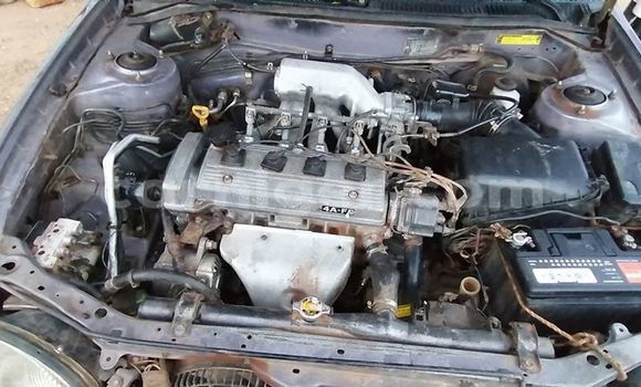 Sayi Na hannu Toyota Corolla Blue Mota in Niamey a Niamey Sayi Na hannu Toyota Corolla Blue Mota in Niamey a Niamey