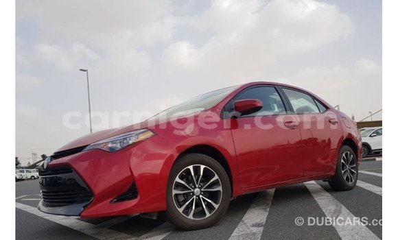 اشتري Imported Toyota Corolla Red سيارة في Import - Dubai في أغاديز اشتري Imported Toyota Corolla Red سيارة في Import - Dubai في أغاديز