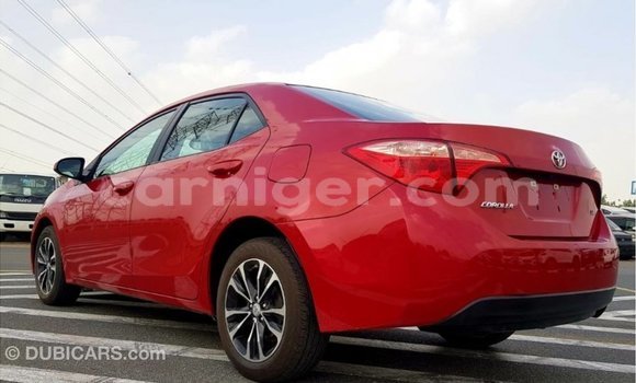 اشتري Imported Toyota Corolla Red سيارة في Import - Dubai في أغاديز اشتري Imported Toyota Corolla Red سيارة في Import - Dubai في أغاديز