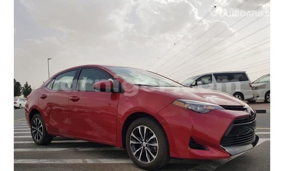 اشتري Imported Toyota Corolla Red سيارة في Import - Dubai في أغاديز اشتري Imported Toyota Corolla Red سيارة في Import - Dubai في أغاديز