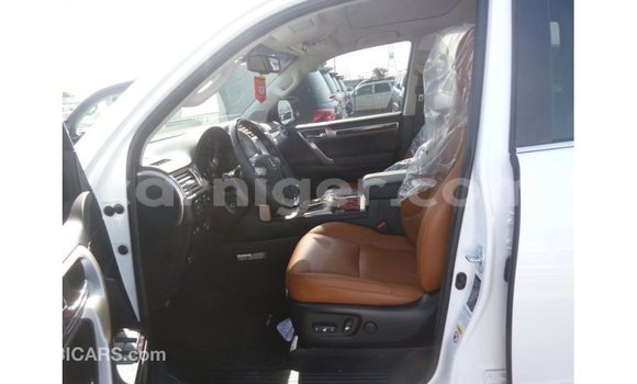 اشتري Imported Lexus GX White سيارة في Import - Dubai في أغاديز اشتري Imported Lexus GX White سيارة في Import - Dubai في أغاديز