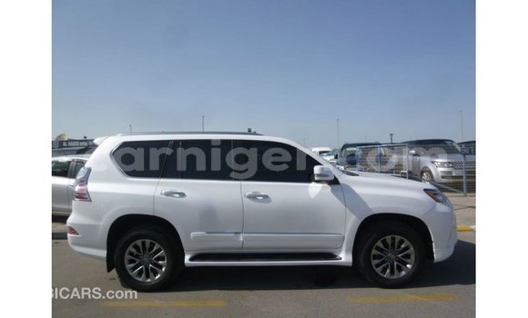 اشتري Imported Lexus GX White سيارة في Import - Dubai في أغاديز اشتري Imported Lexus GX White سيارة في Import - Dubai في أغاديز