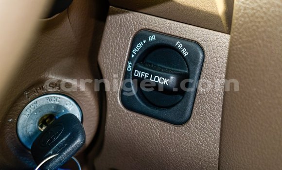 Buy Import Toyota Land Cruiser Beige Truck in Import - Dubai in Agadez Buy Import Toyota Land Cruiser Beige Truck in Import - Dubai in Agadez