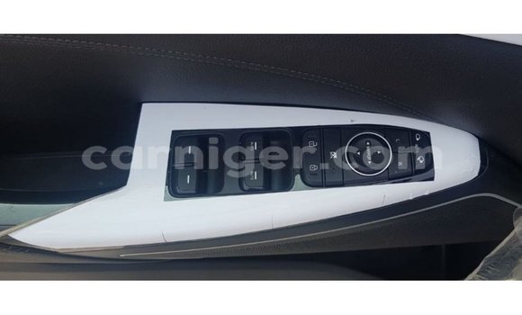 Sayi Imported Kia Cadenza Blue Mota in Import - Dubai a Agadez Sayi Imported Kia Cadenza Blue Mota in Import - Dubai a Agadez