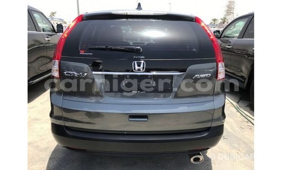اشتري Imported Honda C Other دراجة نارية في Import - Dubai في أغاديز اشتري Imported Honda C Other دراجة نارية في Import - Dubai في أغاديز