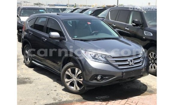 اشتري Imported Honda C Other دراجة نارية في Import - Dubai في أغاديز اشتري Imported Honda C Other دراجة نارية في Import - Dubai في أغاديز
