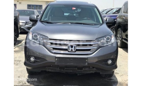 اشتري Imported Honda C Other دراجة نارية في Import - Dubai في أغاديز اشتري Imported Honda C Other دراجة نارية في Import - Dubai في أغاديز