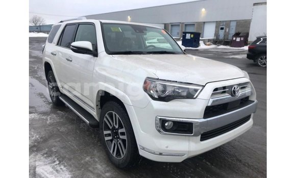 Buy Import Toyota Ade White Truck in Import - Dubai in Agadez Buy Import Toyota Ade White Truck in Import - Dubai in Agadez