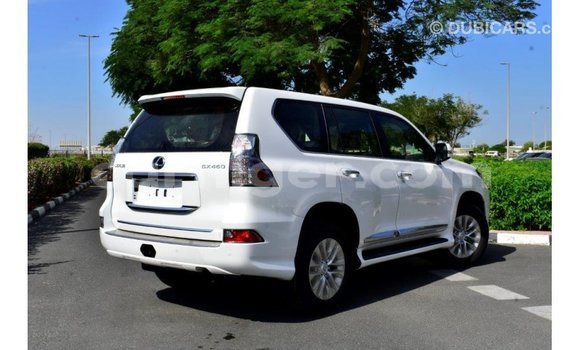 Sayi Imported Lexus GX White Mota in Import - Dubai a Agadez Sayi Imported Lexus GX White Mota in Import - Dubai a Agadez