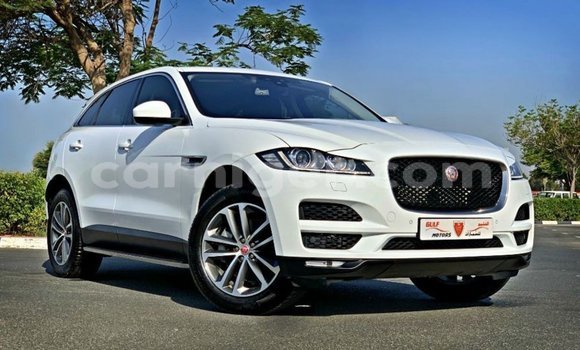 Buy Import Jaguar F-Pace White Car in Import - Dubai in Agadez