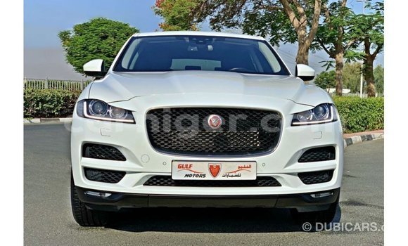 Sayi Imported Jaguar F-Pace White Mota in Import - Dubai a Agadez Sayi Imported Jaguar F-Pace White Mota in Import - Dubai a Agadez