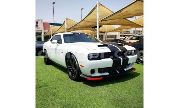 Acheter Import Voiture Dodge Challenger Blanc à Import - Dubai, Agadez