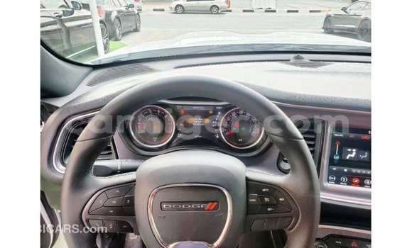 Buy Import Dodge Challenger White Car in Import - Dubai in Agadez Buy Import Dodge Challenger White Car in Import - Dubai in Agadez