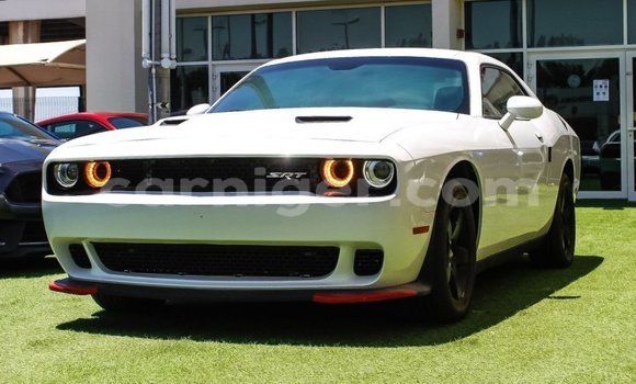 Acheter Import Voiture Dodge Challenger Blanc à Import - Dubai, Agadez