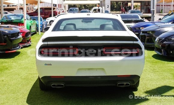 Sayi Imported Dodge Challenger White Mota in Import - Dubai a Agadez Sayi Imported Dodge Challenger White Mota in Import - Dubai a Agadez