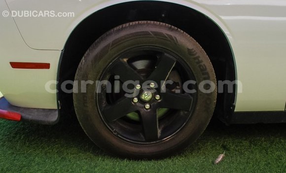 Sayi Imported Dodge Challenger White Mota in Import - Dubai a Agadez Sayi Imported Dodge Challenger White Mota in Import - Dubai a Agadez