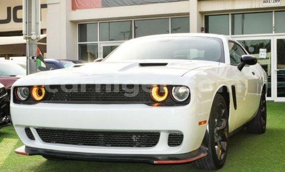 Acheter Import Voiture Dodge Challenger Blanc à Import - Dubai, Agadez
