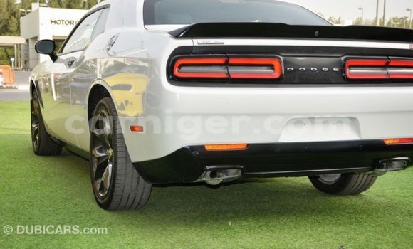 Sayi Imported Dodge Challenger White Mota in Import - Dubai a Agadez Sayi Imported Dodge Challenger White Mota in Import - Dubai a Agadez