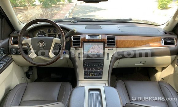 اشتري Imported Cadillac Escalade Black سيارة في Import - Dubai في أغاديز اشتري Imported Cadillac Escalade Black سيارة في Import - Dubai في أغاديز