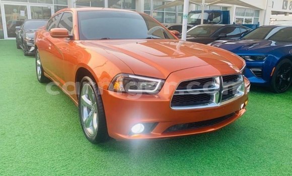 Buy Import Dodge Charger Other Car in Import - Dubai in Agadez