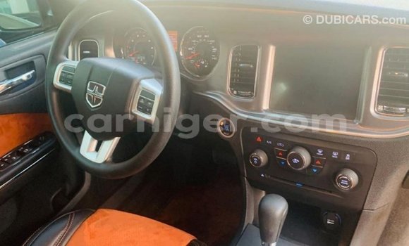 Buy Import Dodge Charger Other Car in Import - Dubai in Agadez Buy Import Dodge Charger Other Car in Import - Dubai in Agadez