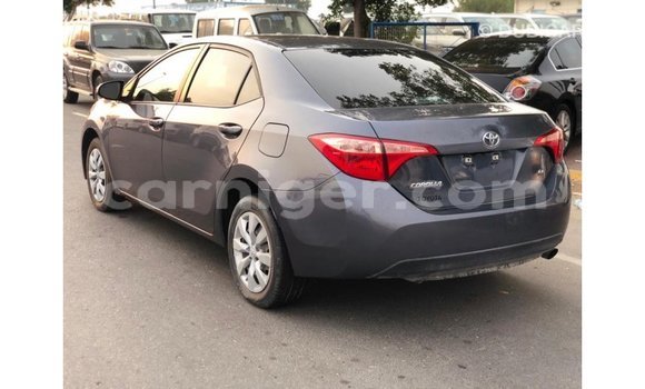 Sayi Imported Toyota Corolla Other Mota in Import - Dubai a Agadez Sayi Imported Toyota Corolla Other Mota in Import - Dubai a Agadez