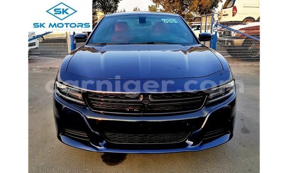 Buy Import Dodge Charger Blue Car in Import - Dubai in Agadez