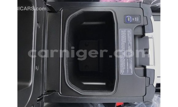 Acheter Import Utilitaire Toyota Land Cruiser Autre à Import - Dubai, Agadez Acheter Import Utilitaire Toyota Land Cruiser Autre à Import - Dubai, Agadez