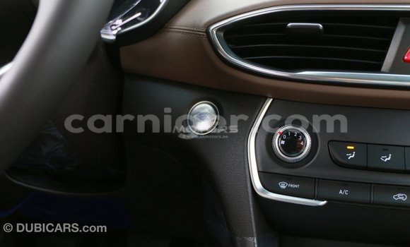 Sayi Imported Hyundai Santa Fe Brown Mota in Import - Dubai a Agadez Sayi Imported Hyundai Santa Fe Brown Mota in Import - Dubai a Agadez