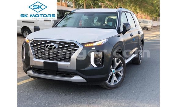 Buy Import Hyundai Chorus Other Truck in Import - Dubai in Agadez