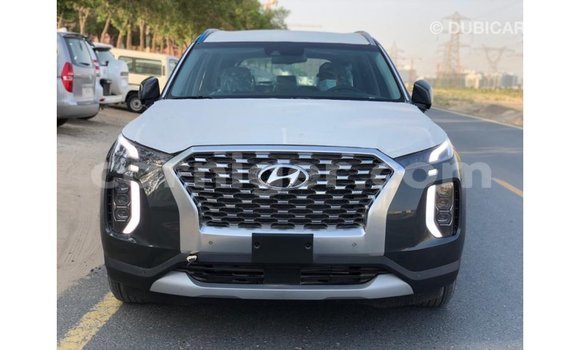 Buy Import Hyundai Chorus Other Truck in Import - Dubai in Agadez Buy Import Hyundai Chorus Other Truck in Import - Dubai in Agadez