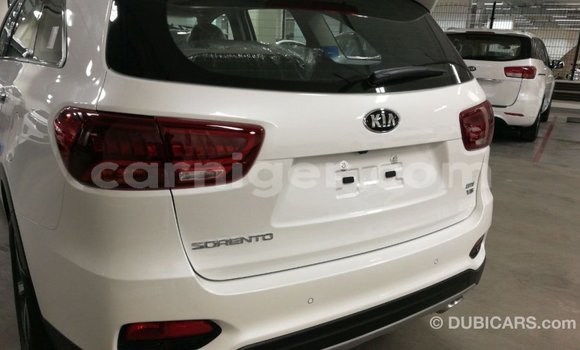 Buy Import Kia Sorento White Car in Import - Dubai in Agadez Buy Import Kia Sorento White Car in Import - Dubai in Agadez