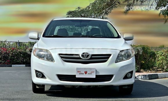 Sayi Imported Toyota Corolla White Mota in Import - Dubai a Agadez Sayi Imported Toyota Corolla White Mota in Import - Dubai a Agadez
