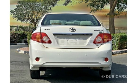 Sayi Imported Toyota Corolla White Mota in Import - Dubai a Agadez Sayi Imported Toyota Corolla White Mota in Import - Dubai a Agadez