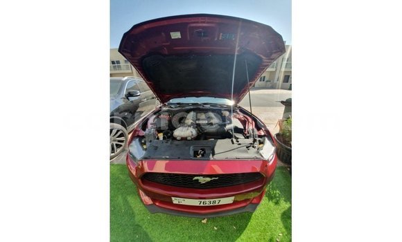 Sayi Imported Ford Mustang Red Mota in Import - Dubai a Agadez Sayi Imported Ford Mustang Red Mota in Import - Dubai a Agadez
