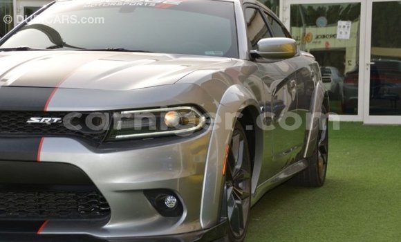 Buy Import Dodge Charger Other Car in Import - Dubai in Agadez Buy Import Dodge Charger Other Car in Import - Dubai in Agadez