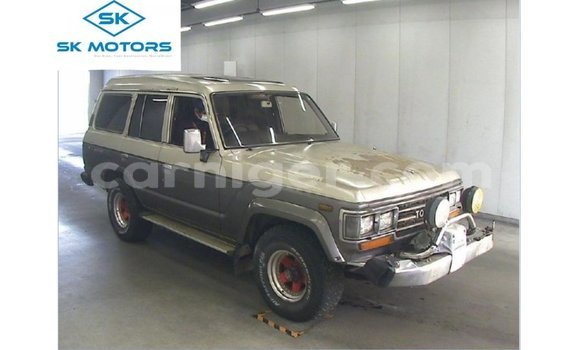 Buy Import Toyota Land Cruiser Other Truck in Import - Dubai in Agadez Buy Import Toyota Land Cruiser Other Truck in Import - Dubai in Agadez