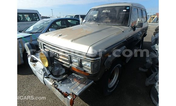 اشتري Imported Toyota Land Cruiser Other شاحنة في Import - Dubai في أغاديز اشتري Imported Toyota Land Cruiser Other شاحنة في Import - Dubai في أغاديز