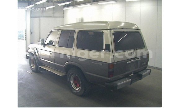 اشتري Imported Toyota Land Cruiser Other شاحنة في Import - Dubai في أغاديز اشتري Imported Toyota Land Cruiser Other شاحنة في Import - Dubai في أغاديز