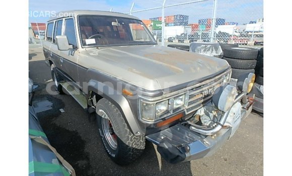 اشتري Imported Toyota Land Cruiser Other شاحنة في Import - Dubai في أغاديز اشتري Imported Toyota Land Cruiser Other شاحنة في Import - Dubai في أغاديز