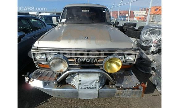 اشتري Imported Toyota Land Cruiser Other شاحنة في Import - Dubai في أغاديز اشتري Imported Toyota Land Cruiser Other شاحنة في Import - Dubai في أغاديز