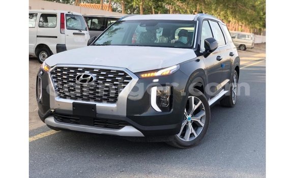 Buy Import Hyundai Chorus Other Truck in Import - Dubai in Agadez