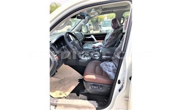 اشتري Imported Toyota Land Cruiser White شاحنة في Import - Dubai في أغاديز اشتري Imported Toyota Land Cruiser White شاحنة في Import - Dubai في أغاديز